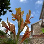 Costa Brava Paradís